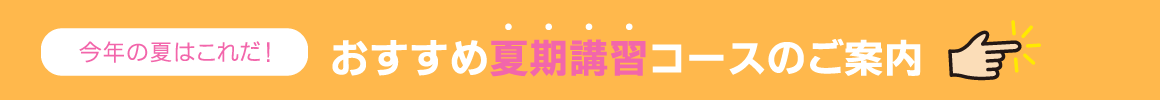 夏期講習応援プランpc